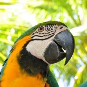 Meet your Posher, Cathy